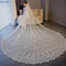 Tailing Veil Lace Applique Veil Studio Photography Veil Αξεσουάρ γάμου - Σελίδα 3