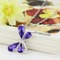 λιβελούλα γυναίκες κρύσταλλο μοβ Ασήμι Προμήθεια Χονδρικό Κολιέ & Μενταγιόν - Σελίδα 2