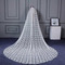 Ivory Bridal Veil 3m Feather Αξεσουάρ Γάμου Πέπλο Fantastic Weil Weil - Σελίδα 1
