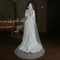 Pearl Veil Spray Silver Sparkling Weil Weil Weil Weil Wedding Headwear - Σελίδα 1