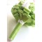 Νέα χειροποίητα πράσινο νύφη κρατώντας λουλούδια φρέσκα φρούτα - Σελίδα 2