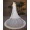 Νυφική παγιέτα δαντέλα πέπλο μεγάλο συρόμενο πέπλο γάμου 350CM - Σελίδα 1