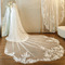 Λευκό ιβουάρ vintage δαντέλα πέπλο εκκλησίας γάμου πέπλο πολυτελές συρόμενο πέπλο - Σελίδα 2