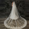 Μεγάλη ουρά νυφικό πέπλο φωτογραφία γάμου με χτένα μαλλί δαντέλα απλικέ - Σελίδα 2