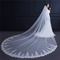 Νέο στυλ μακρύ νυφικό πέπλο γαμήλιο πέπλο δαντέλα εξαίσιο πέπλο 3Μ - Σελίδα 4