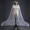 Δαντέλα γαμήλιο πέπλο νύφη με πέπλο στο πίσω μέρος 3 μέτρα αξεσουάρ γάμου χονδρικής - Σελίδα 3