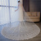 Tailing Veil Lace Applique Veil Studio Photography Veil Αξεσουάρ γάμου - Σελίδα 2
