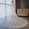 Tailing Veil Lace Applique Veil Studio Photography Veil Αξεσουάρ γάμου