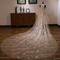 Champagne bling γαμήλιο πέπλο νυφικό γάμο πέπλο πολυτελές μακρύ πέπλο - Σελίδα 2