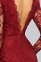 Μπροστινό σχισμή Μακρύ Μανίκι Πολυτελές Ψευδαίσθηση Βραδινά φορέματα - Σελίδα 4
