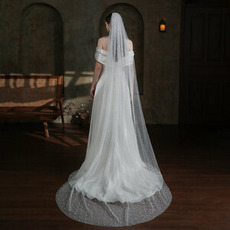 Pearl Veil Spray Silver Sparkling Weil Weil Weil Weil Wedding Headwear