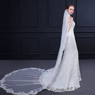 Μακρύ φόρεμα δαντέλα κεντημένο πίσω ουρά πέπλο γάμου 3M - Σελίδα 4