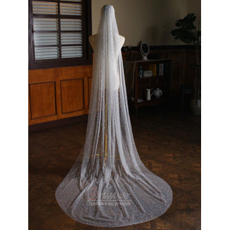 Pearl Veil Spray Silver Sparkling Weil Weil Weil Weil Wedding Headwear - Σελίδα 5