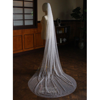 Pearl Veil Spray Silver Sparkling Weil Weil Weil Weil Wedding Headwear - Σελίδα 6